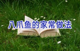 八爪鱼的家常做法