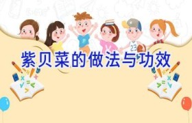 紫贝菜的做法与功效