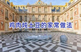 鸡肉炖土豆的家常做法