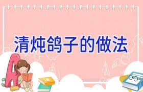 清炖鸽子的做法