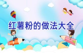 红薯粉的做法大全