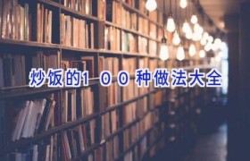 炒饭的100种做法大全