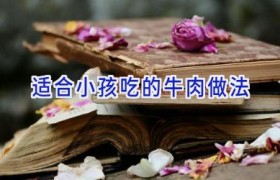 适合小孩吃的牛肉做法