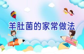 羊肚菌的家常做法