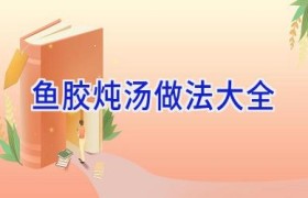 鱼胶炖汤做法大全