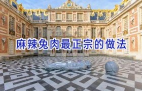 麻辣兔肉最正宗的做法