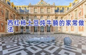 西红柿土豆炖牛腩的家常做法