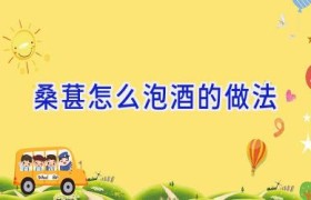 桑葚怎么泡酒的做法