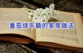 番茄烧牛腩的家常做法