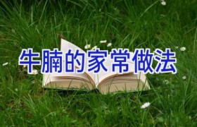 牛腩的家常做法