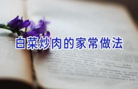 白菜炒肉的家常做法