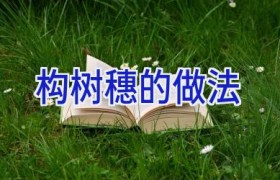 构树穗的做法