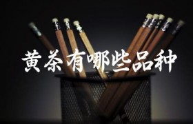 黄茶有哪些品种