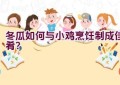 冬瓜如何与小鸡烹饪制成佳肴？