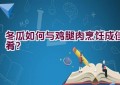 冬瓜如何与鸡腿肉烹饪成佳肴？