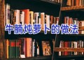 牛腩炖萝卜的做法