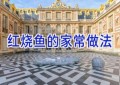红烧鱼的家常做法