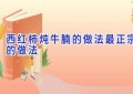 西红柿炖牛腩的做法最正宗的做法