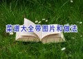 菜谱大全带图片和做法