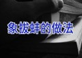 象拔蚌的做法