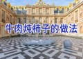 牛肉炖柿子的做法