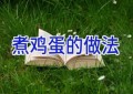 煮鸡蛋的做法