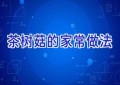 茶树菇的家常做法