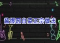 酱爆圆白菜正宗做法