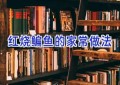 红烧鳊鱼的家常做法