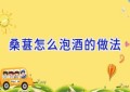 桑葚怎么泡酒的做法