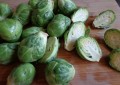 Brussel sprout照烧甘蓝菜的做法（清炒甘蓝的家常做法）