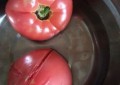 西红柿炒菜花的做法（西红柿炒菜花的做法视频）