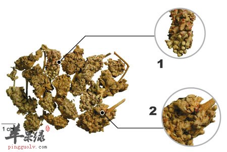 密蒙花的功效与作用及禁忌（密蒙花的神奇功效）插图2