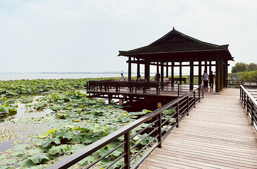 阳澄湖莲花岛顾记蟹庄，吃正宗大闸蟹的好地方插图4