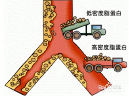 黑芝麻糊的功效与作用及禁忌（吃黑芝麻糊的大忌）插图5