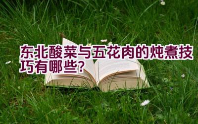 东北酸菜与五花肉的炖煮技巧有哪些？插图