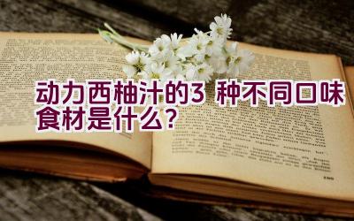 动力西柚汁的3种不同口味食材是什么？插图