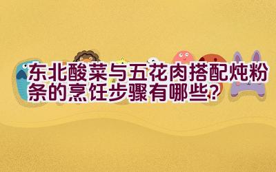 东北酸菜与五花肉搭配炖粉条的烹饪步骤有哪些？插图