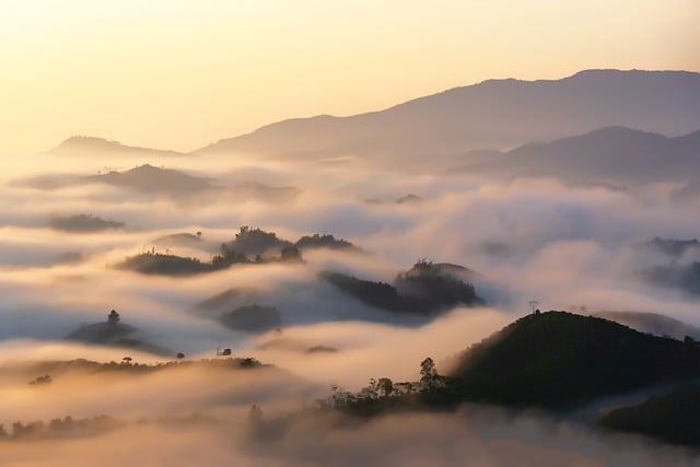 尿酸高能喝蜂蜜水吗 ，插图