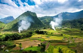 米饭属于碳水化合物吗 ， 保持运动缩略图
