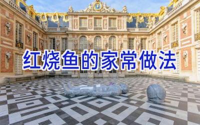 红烧鱼的家常做法插图