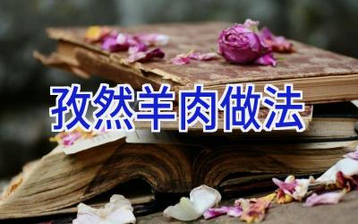 孜然羊肉做法插图