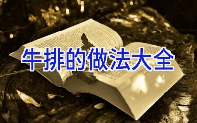 牛排的做法大全插图