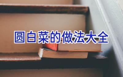 圆白菜的做法大全插图