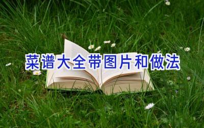 菜谱大全带图片和做法插图