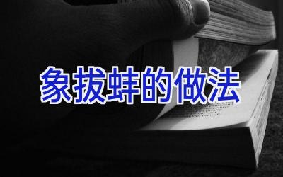象拔蚌的做法插图