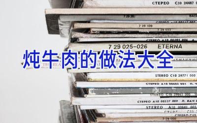 炖牛肉的做法大全插图