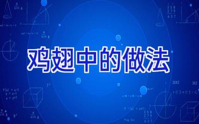 鸡翅中的做法插图