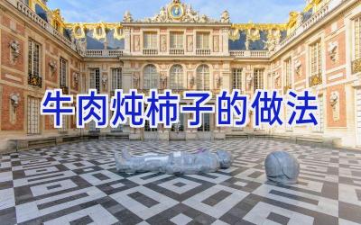 牛肉炖柿子的做法插图