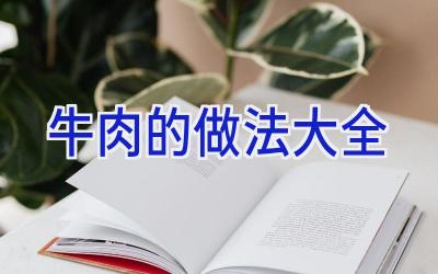 牛肉的做法大全插图